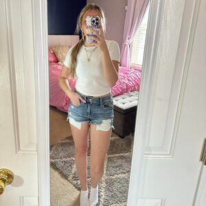 American Eagle Outfitters Women's Blue and White Shorts